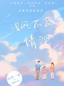 浅风不眠作品