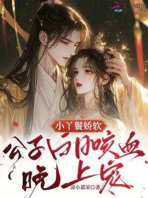 丫鬟公子古言