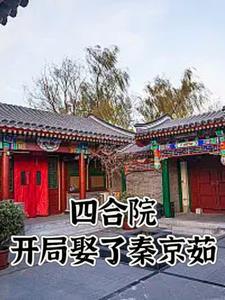 情满四合院秦淮茹的女儿