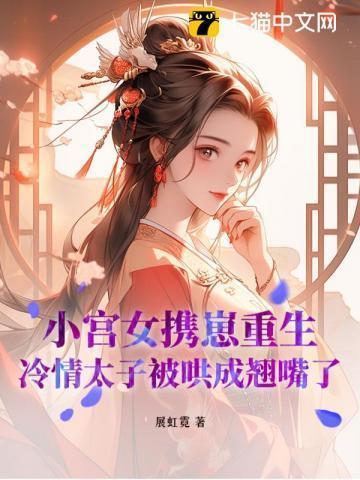 重生之小宫女