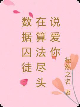 数据铁笼什么意思