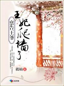 禀告王爷