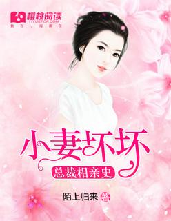 总裁小妻太抢手全文免费阅读