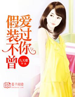 歌词假装不爱你