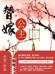 替嫁公主分集剧情