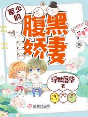 腹黑甜宠军少隐婚妻