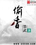 偷香高手宋青书免费阅读全文