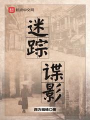 迷踪谍影断更了