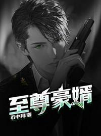 至尊神婿叶昊郑漫儿全集笔
