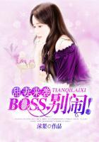 boss别闹安音完结