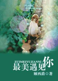 最美的遇见