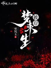 梦的彼岸歌曲完整版