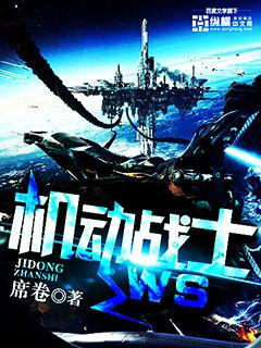 机动战士w高达名称
