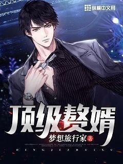 顶级赘婿TXT