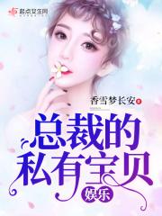 总裁的私有宝贝的