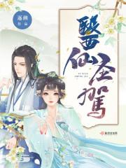 双圣医仙陈不凡