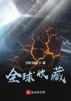 全球收藏最高的歌是什么