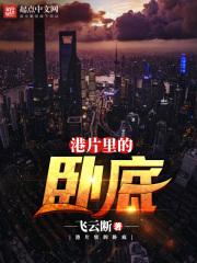 港片里的卧底是什么
