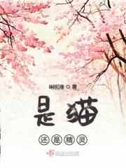猫精灵是好朋友吗