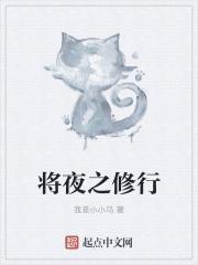 将夜修为