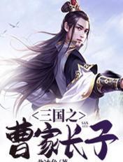 三国之曹家孽子