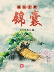我有无数锦囊的
