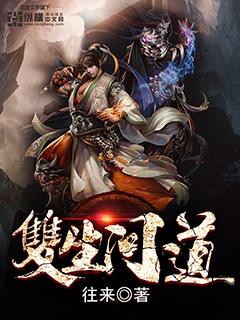 双生解析