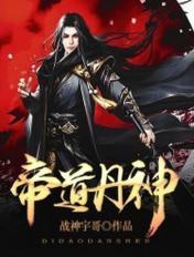 帝道丹神修炼等级