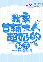 我的首辅大人无防盗