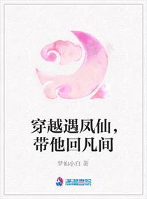 主角在凤仙的