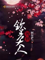 古代的钦差大人是几品官员