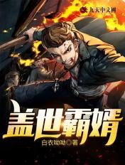 盖世帝婿免费阅读