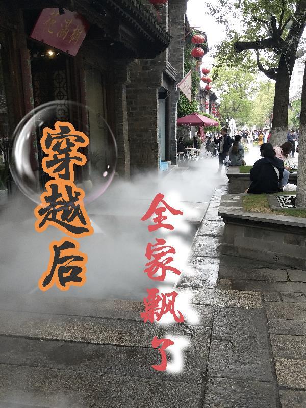 穿越后全家飘了百度
