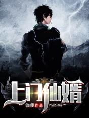 上门仙婿听书