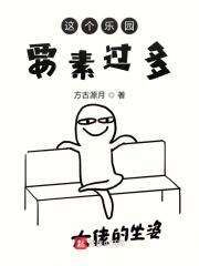 这个乐园给你带来了怎样的快乐?
