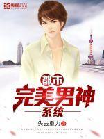 完美男神系统txt