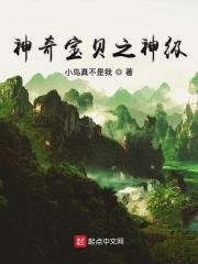 神奇宝贝之神级登陆