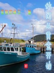 黄金开始下跌