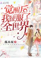 乔今宋砚青小说